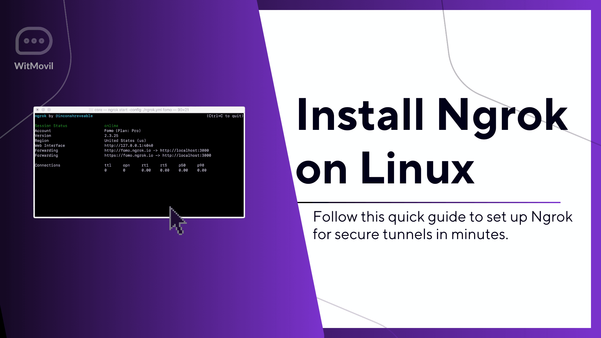Install Ngrok on Linux Quickly Using Simple Shell Commands