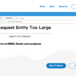 413 Request Entity Too Large in Docker