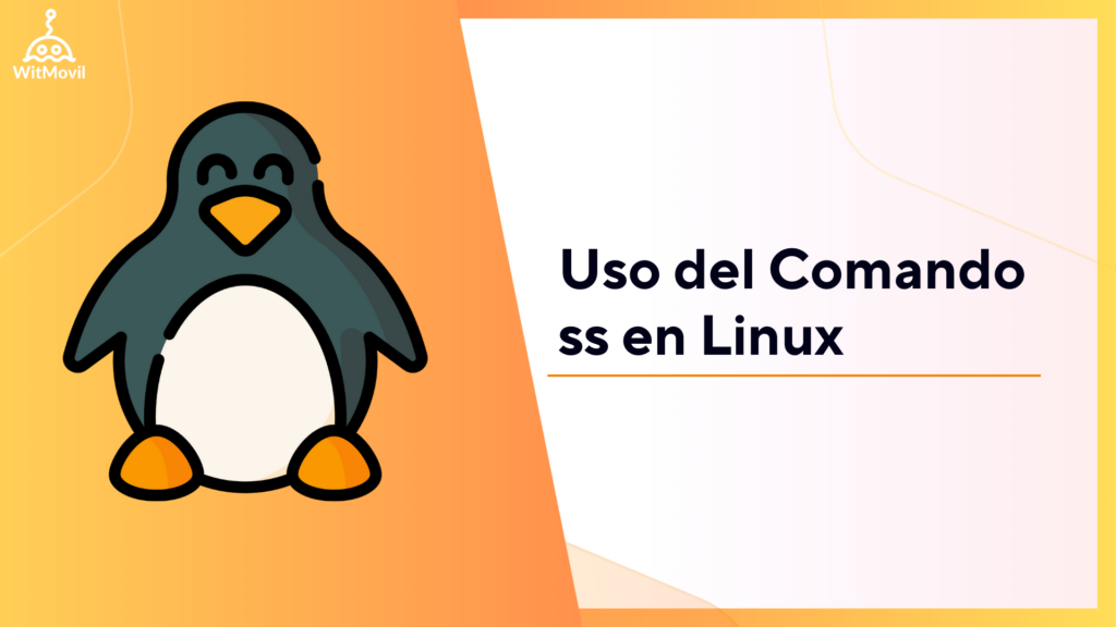 Uso del Comando ss en Linux