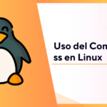 Uso del Comando ss en Linux