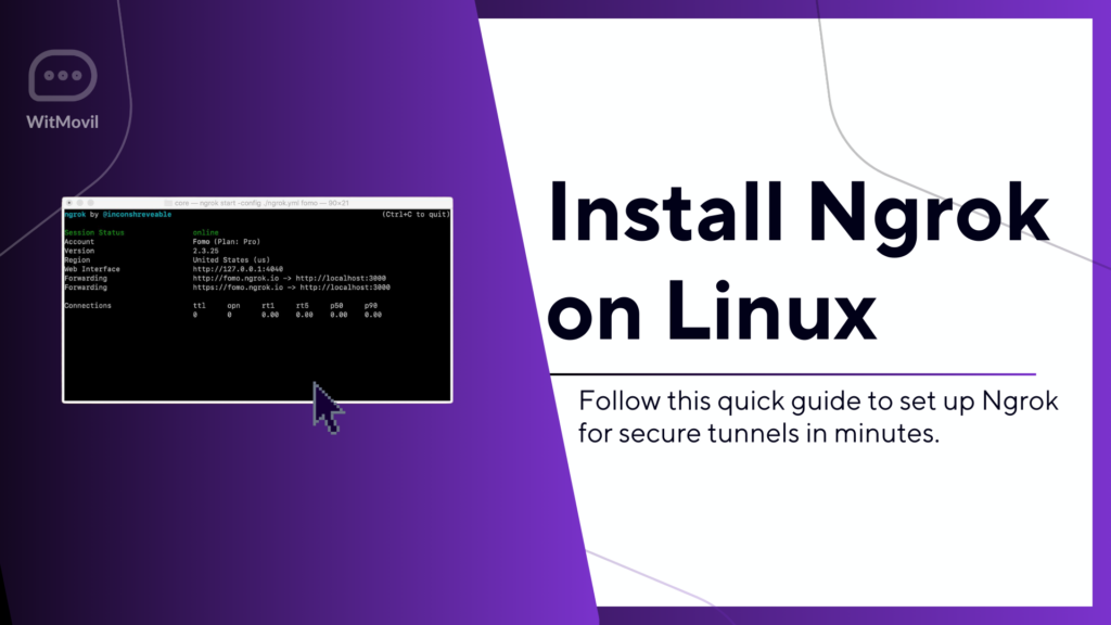 Install Ngrok on Ubuntu