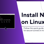 Install Ngrok on Ubuntu